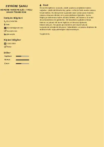 Hasta ve Yaşlı Bakım Elemanı Cv Örnekleri cv indir